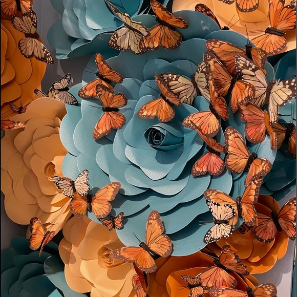 Meet your Posher, Kea - Picture 5 of 6